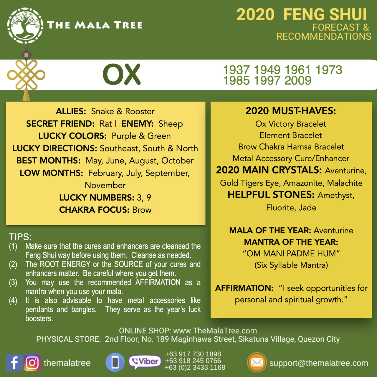 OX in 2020 OX in 2020